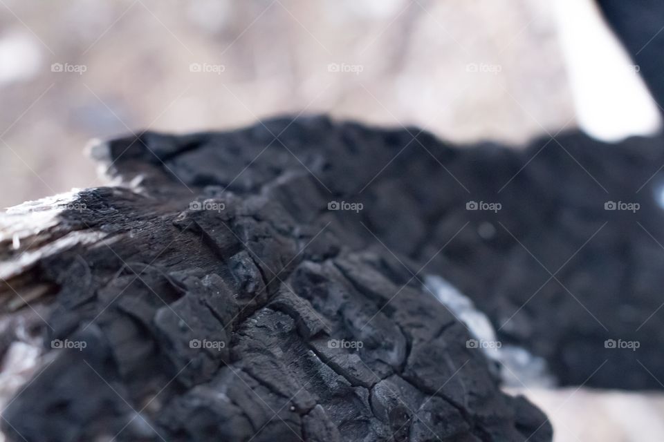 Burned log on the shore of the Mississippi River