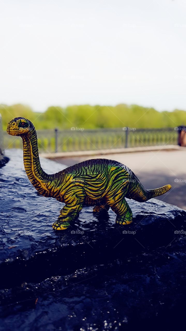 dinosaur
