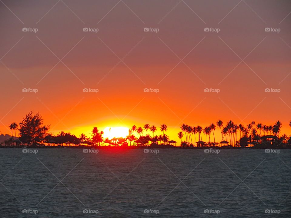 Sunset behind palm trees
