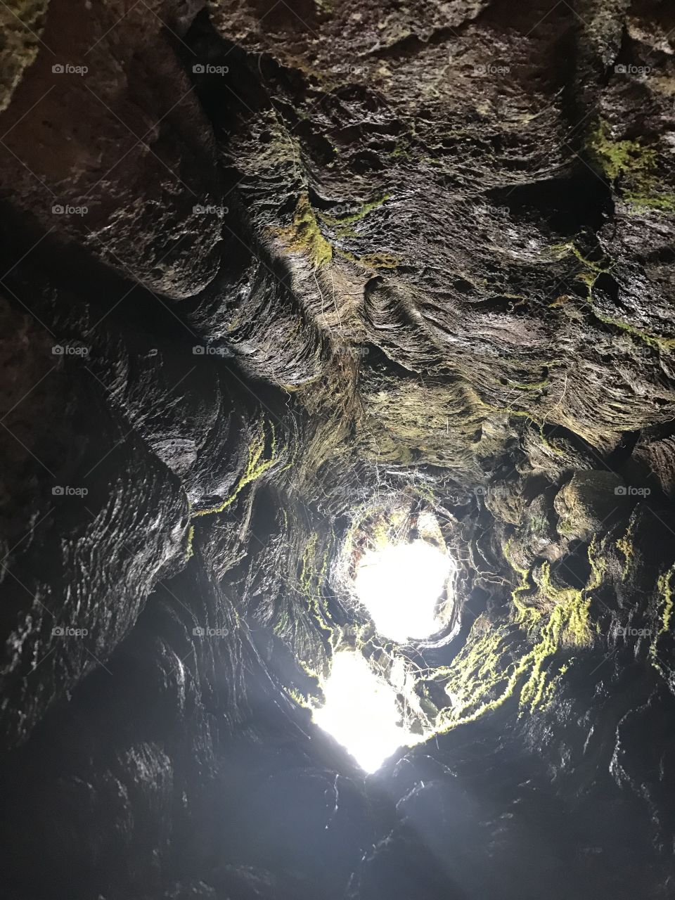 Inside of a “Lava tree” looking up. Remnants of a giant ‘Ōhia Lehua tree covered by lava. Lava Tree State Park Hawaii.