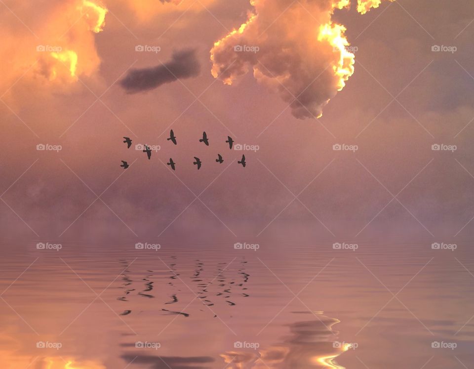 Birds over a dusk lake