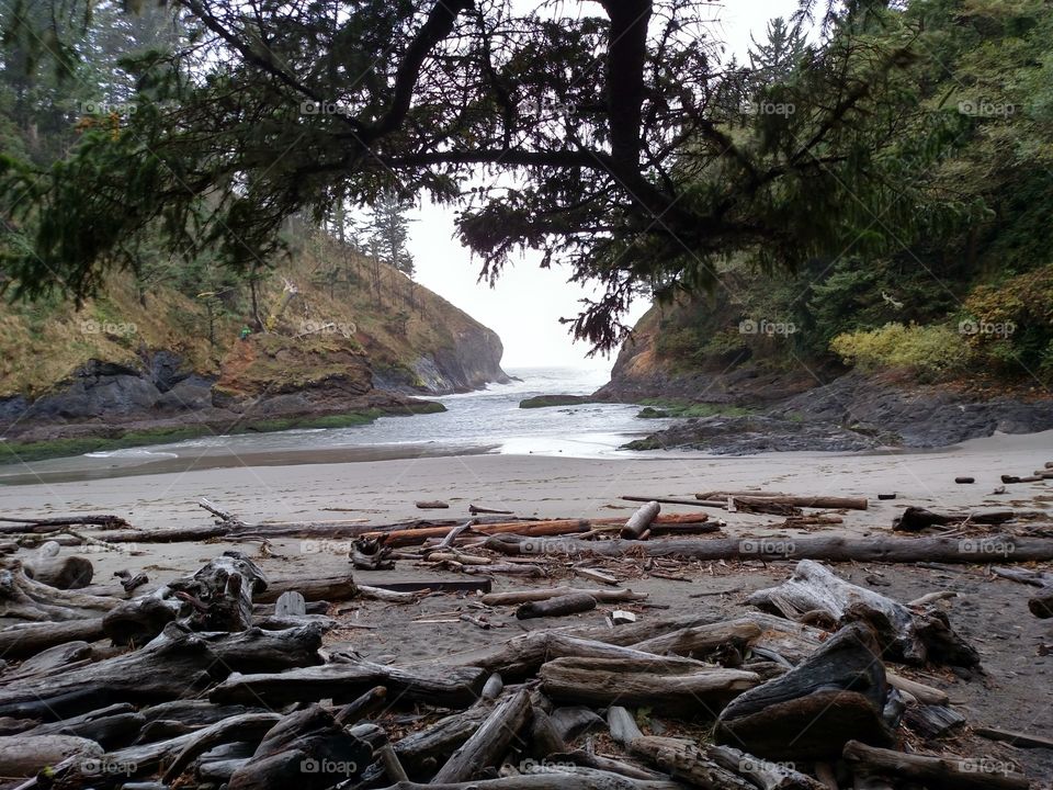 Little hidden cove off the trail near Cape Disappointment. The greatest gifts are always off trail.