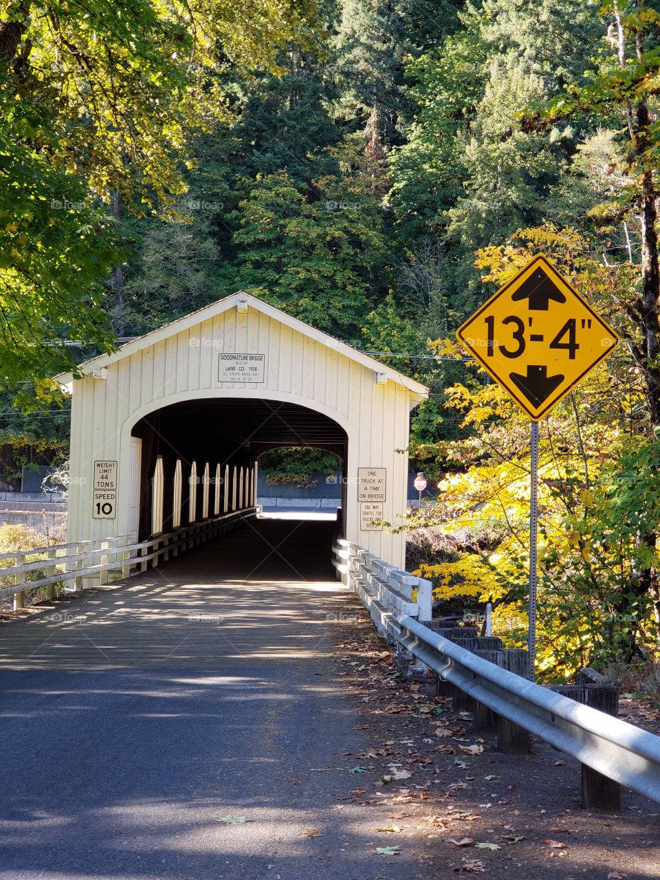 The old covered Goodpasture Bridge built in 1938 near Vida in Western Oregon on a sunny autumn day with lots of fall color around it.