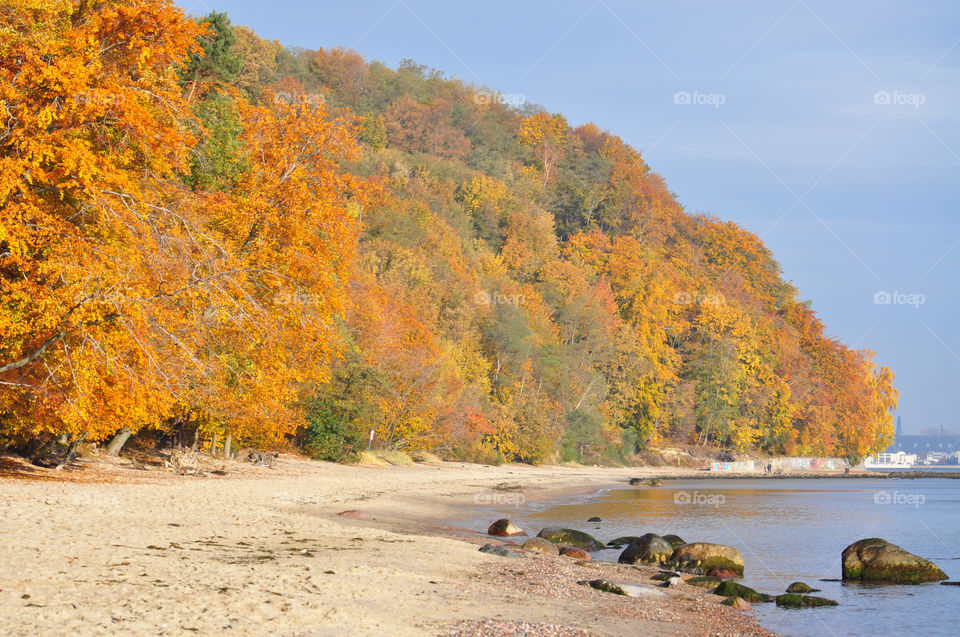 View of colorful autumn trees
