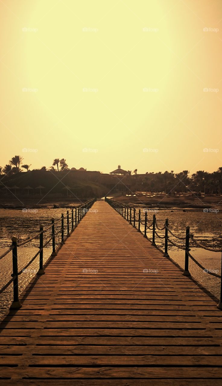 Evening near the sea