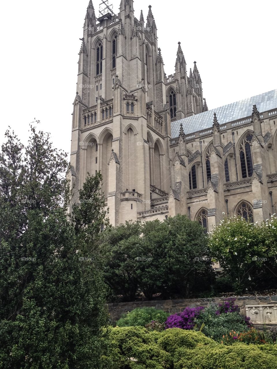 National Cathedral 7