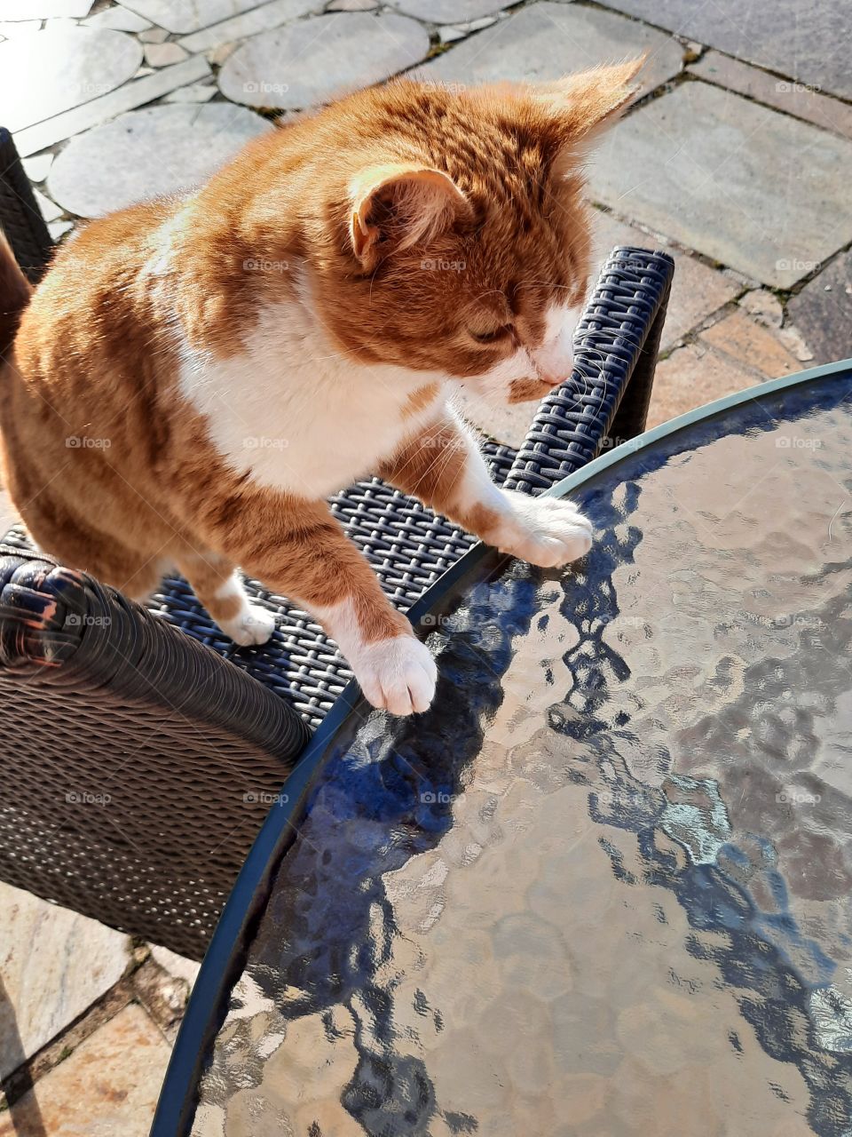 sitting at a garden table