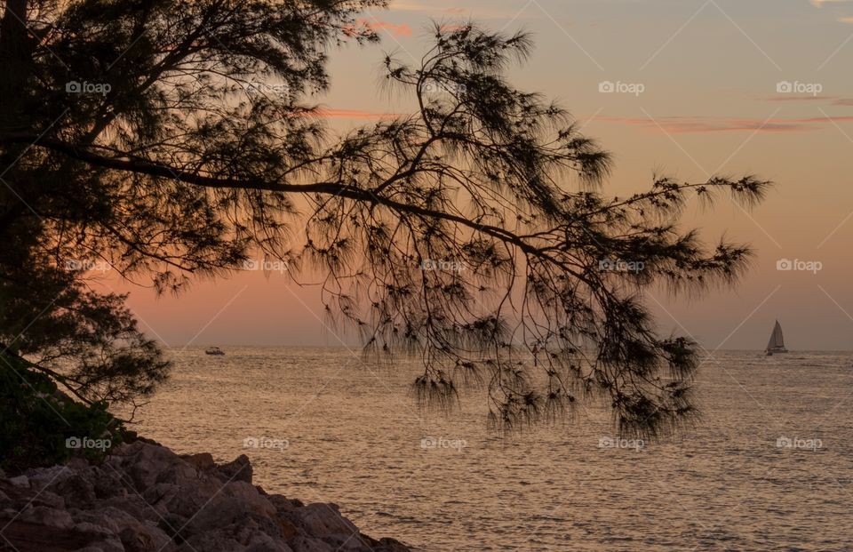 cozy evening sunset view with a pink and blue sky and a sailboat in the Gulf of Mexico seen from Clearwater Beach Florida