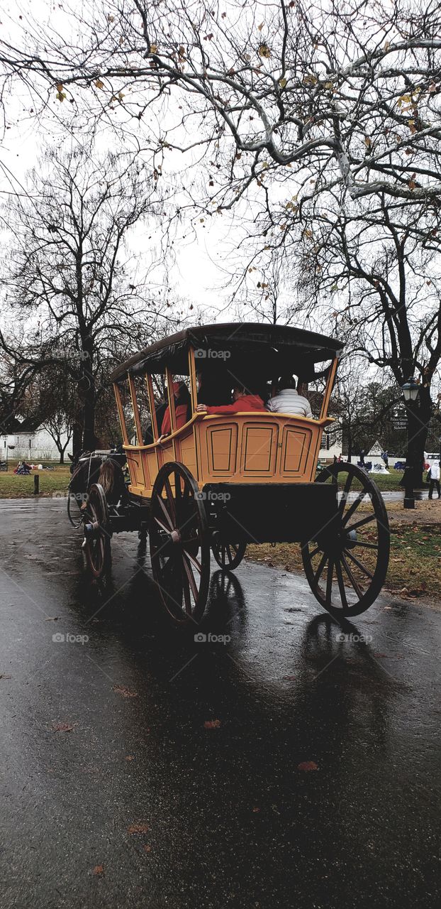 colonial horse and carriage