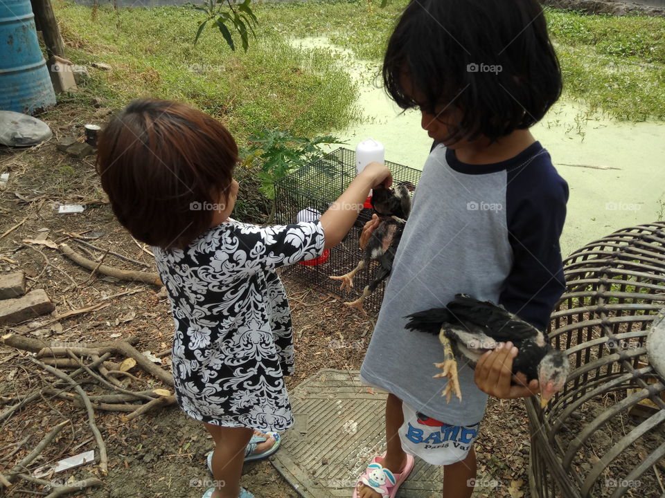 Child, People, Two, Basket, Girl