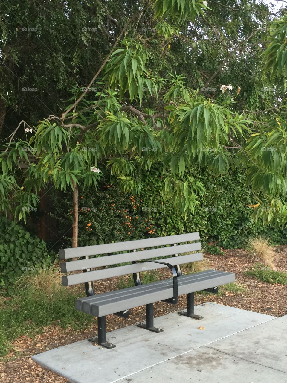 Bench