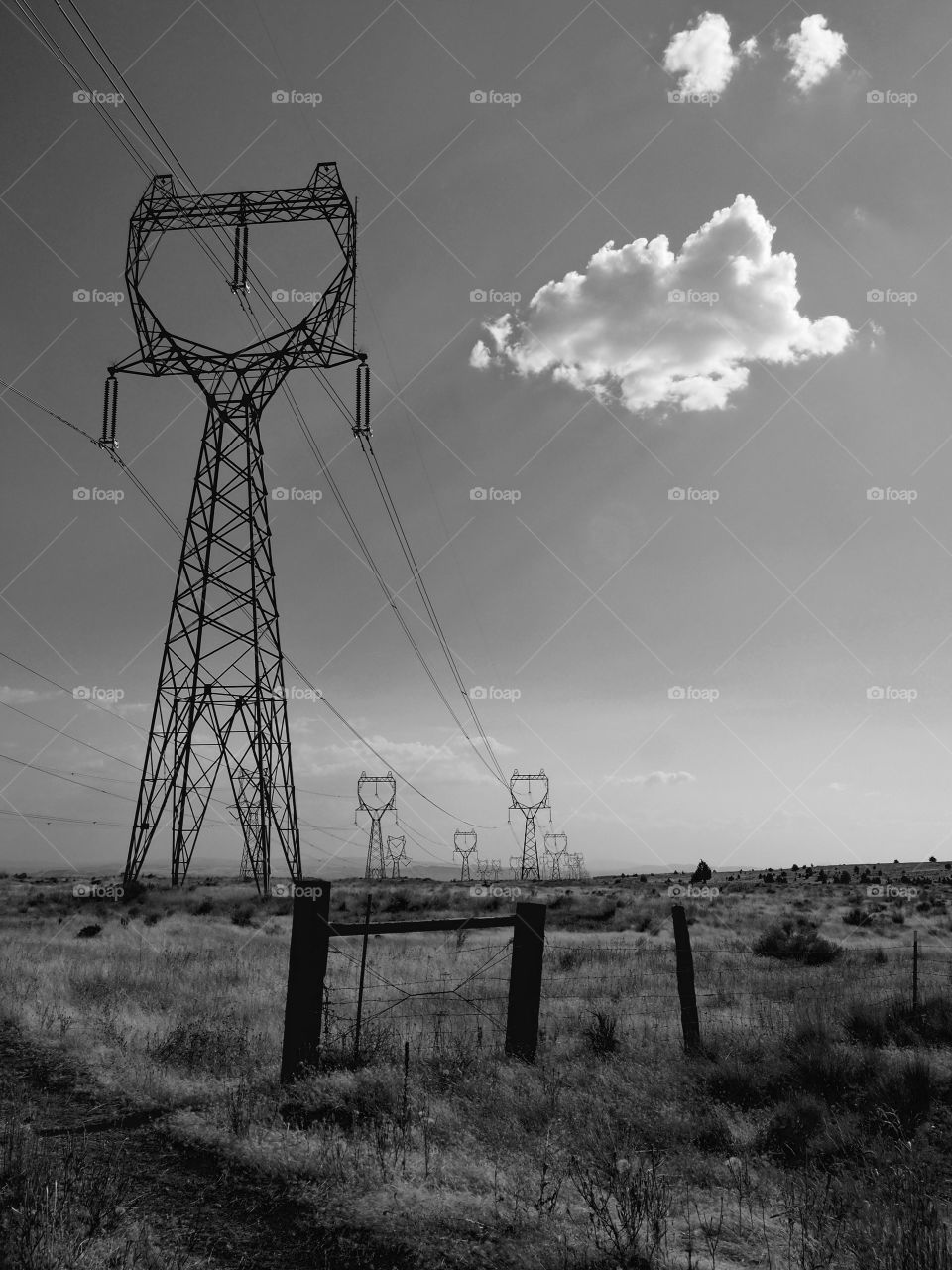 A line of towers carrying electricity to rural Oregon near Shaniko on a fall day.