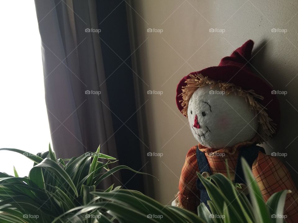 The lonely scarecrow