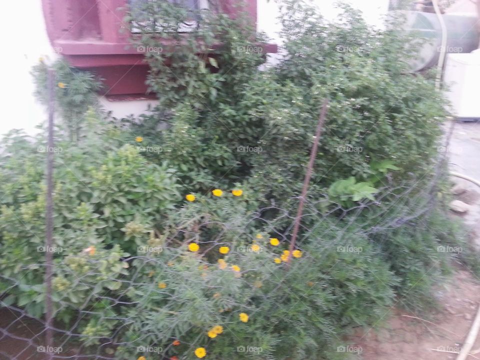 Please make me happy, I am poor, I need your help with support