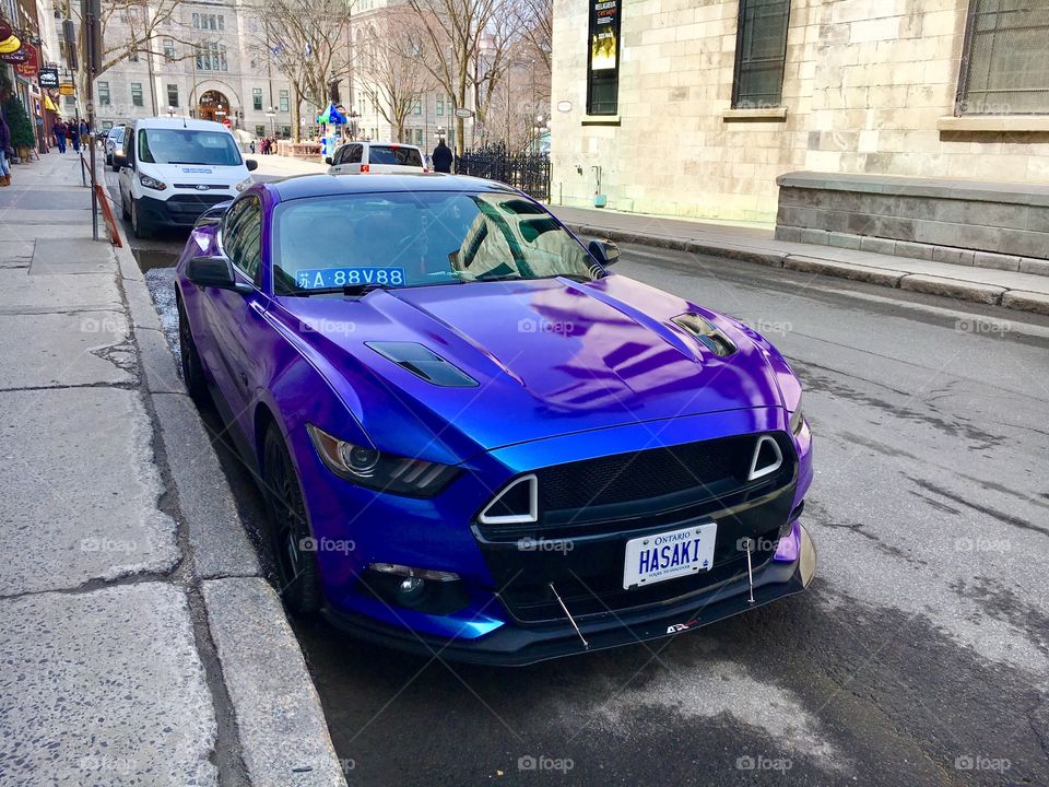 Flash car in Quebec 