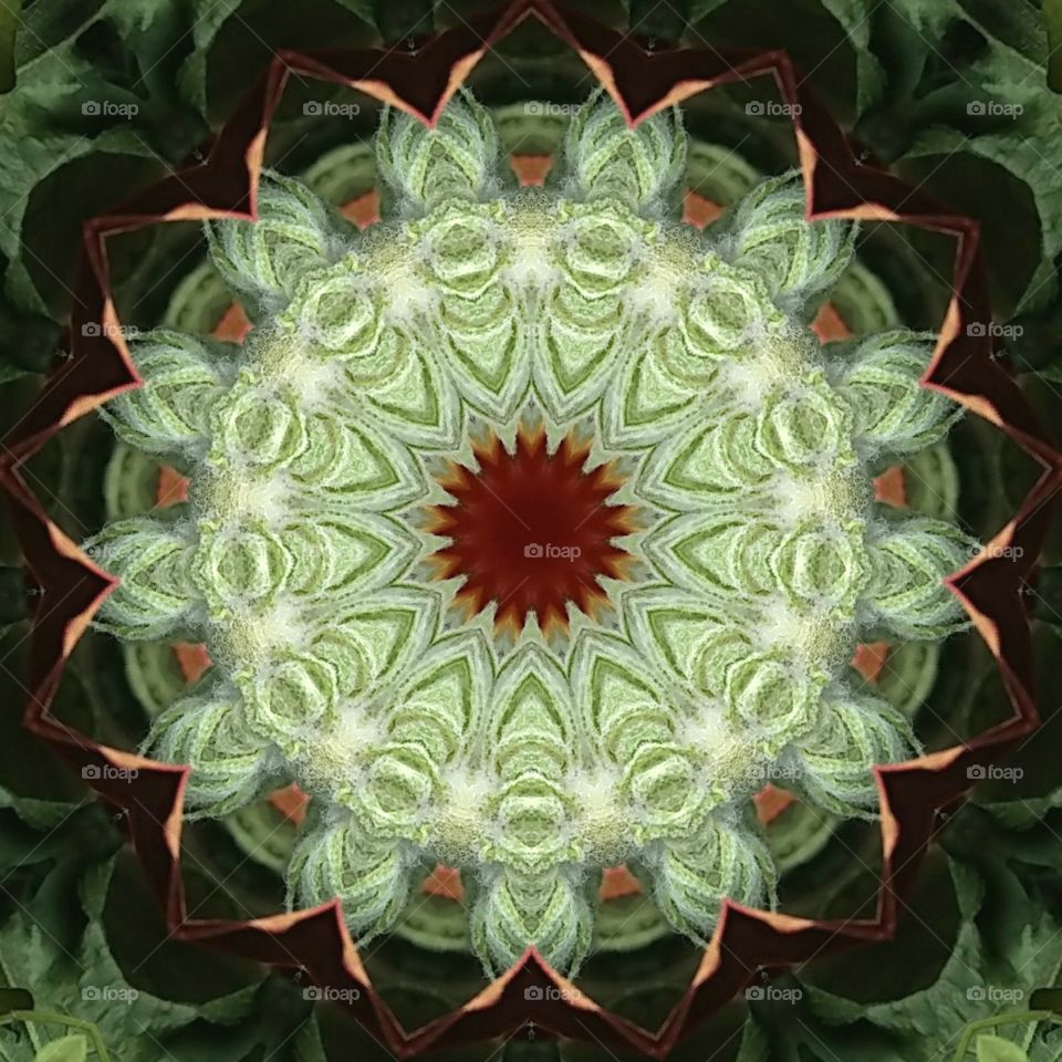 floral mandala