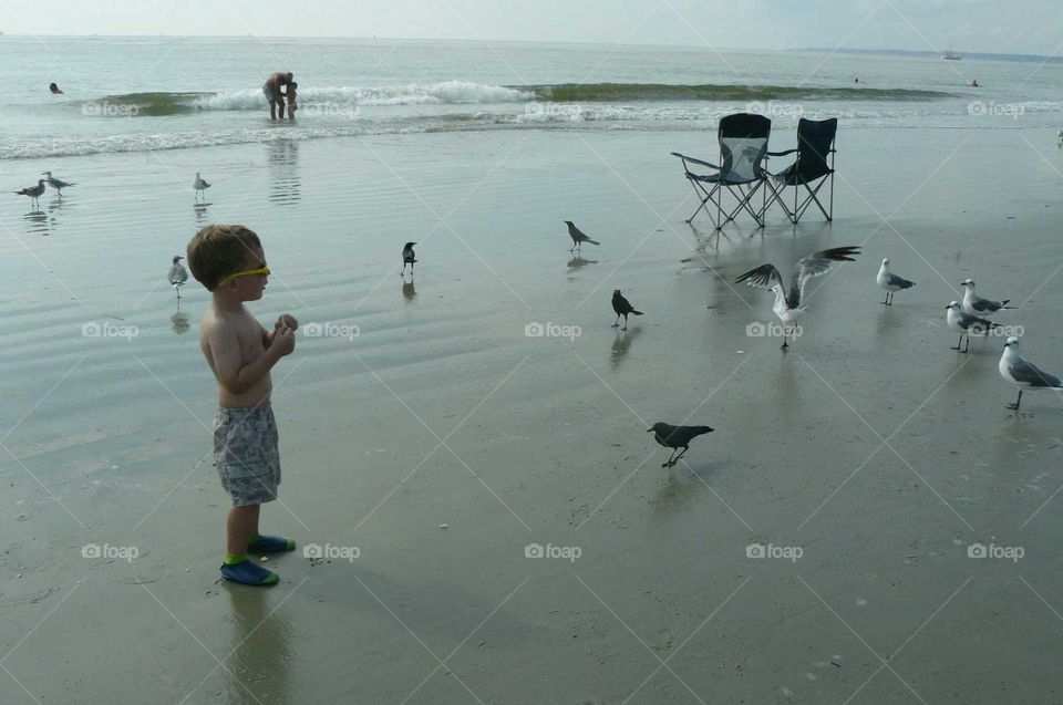 Feeding seagulls