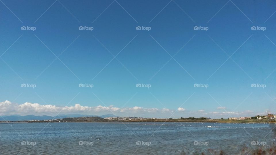 Molentargius pond, Sardinia, Italy