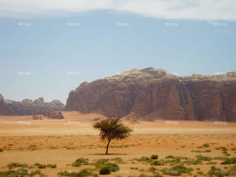 landscape desert Wadi Rum Jorda