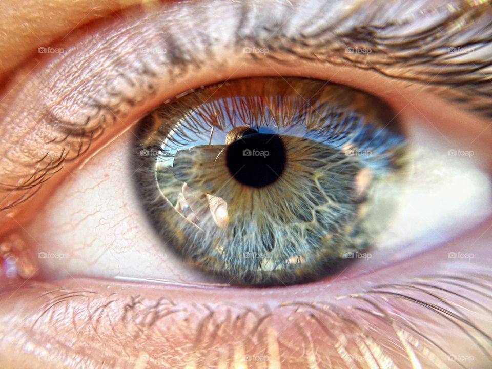 Close-up of human eye with reflection