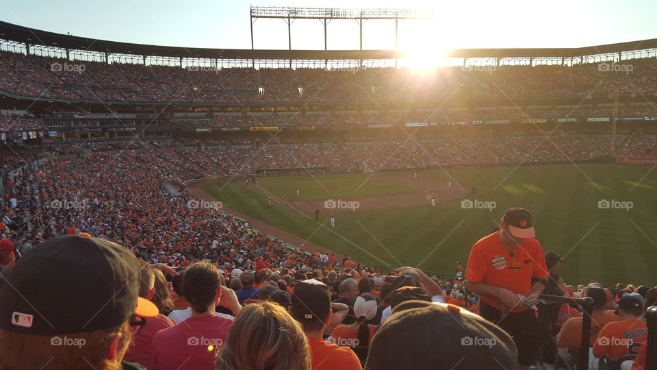 Baltimore Orioles. O's vs Detroit Tigers