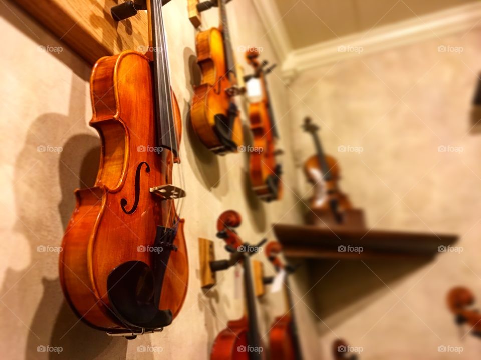 Violins hanging from a wall