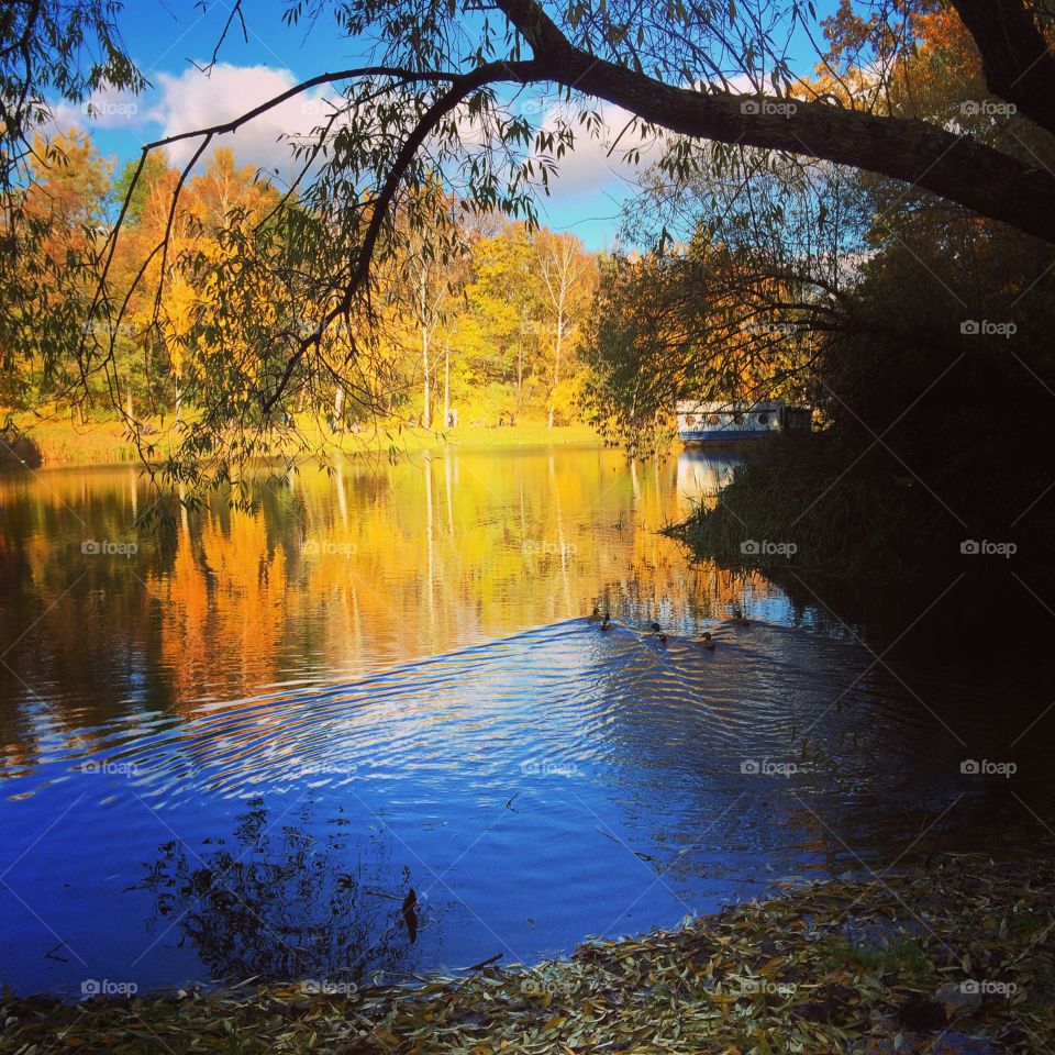 Beautiful October Day