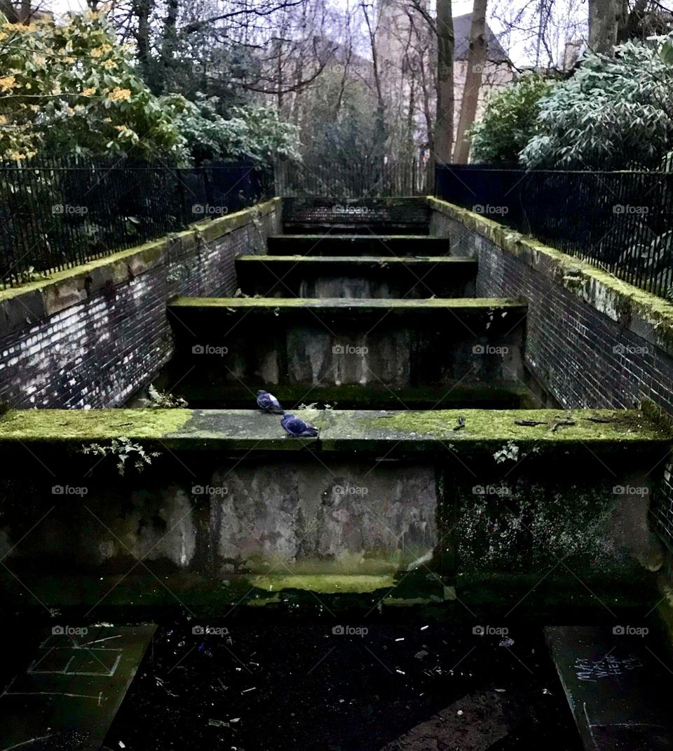 The moss covered ruins of the Botanic Gardens railway station in Kelvinside Glasgow.