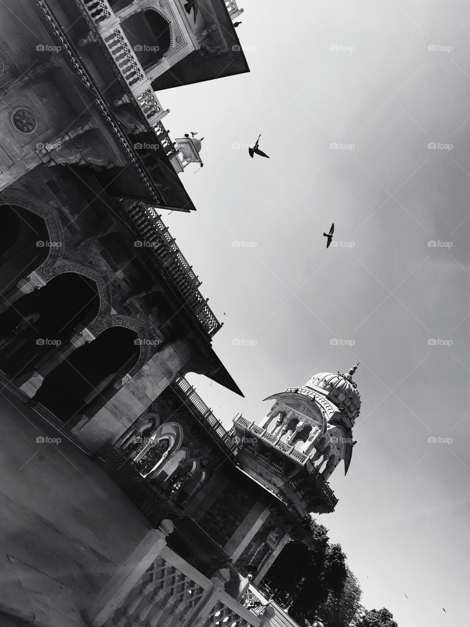 Awesome Nature View Shot on Camera at place kota rajasthan