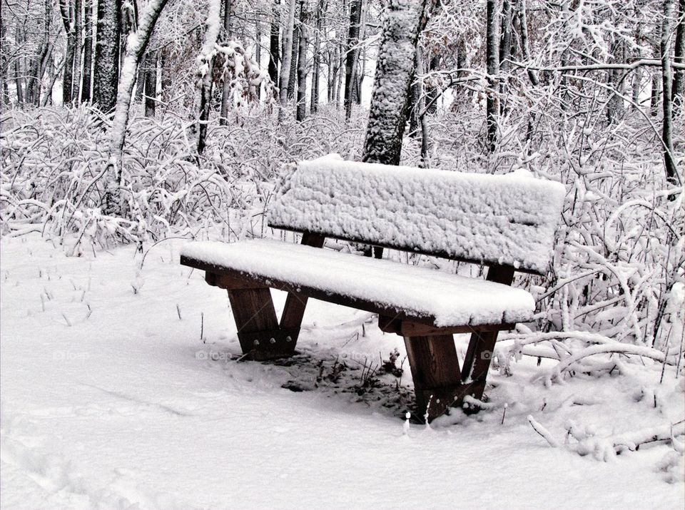 Bench in Snow