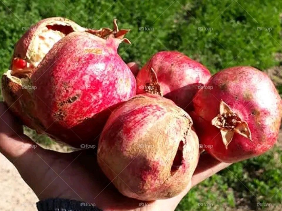 Moroccan pomegranate