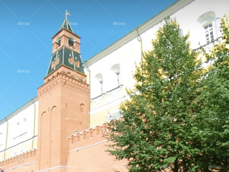 Красавица Москва