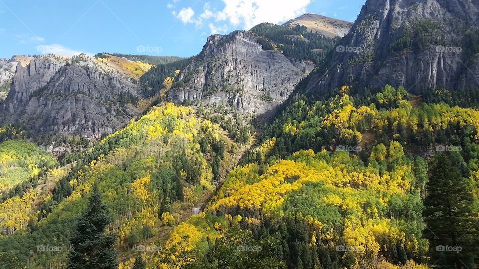 Mountain, Wood, Landscape, Nature, Tree
