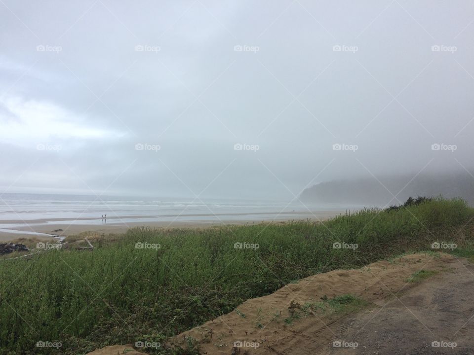 Nice coastal shore line on a foggy morning.