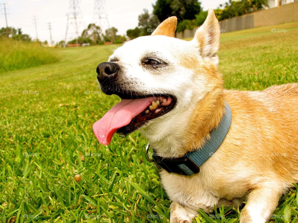 Enjoying a summer day at the park with friends. 