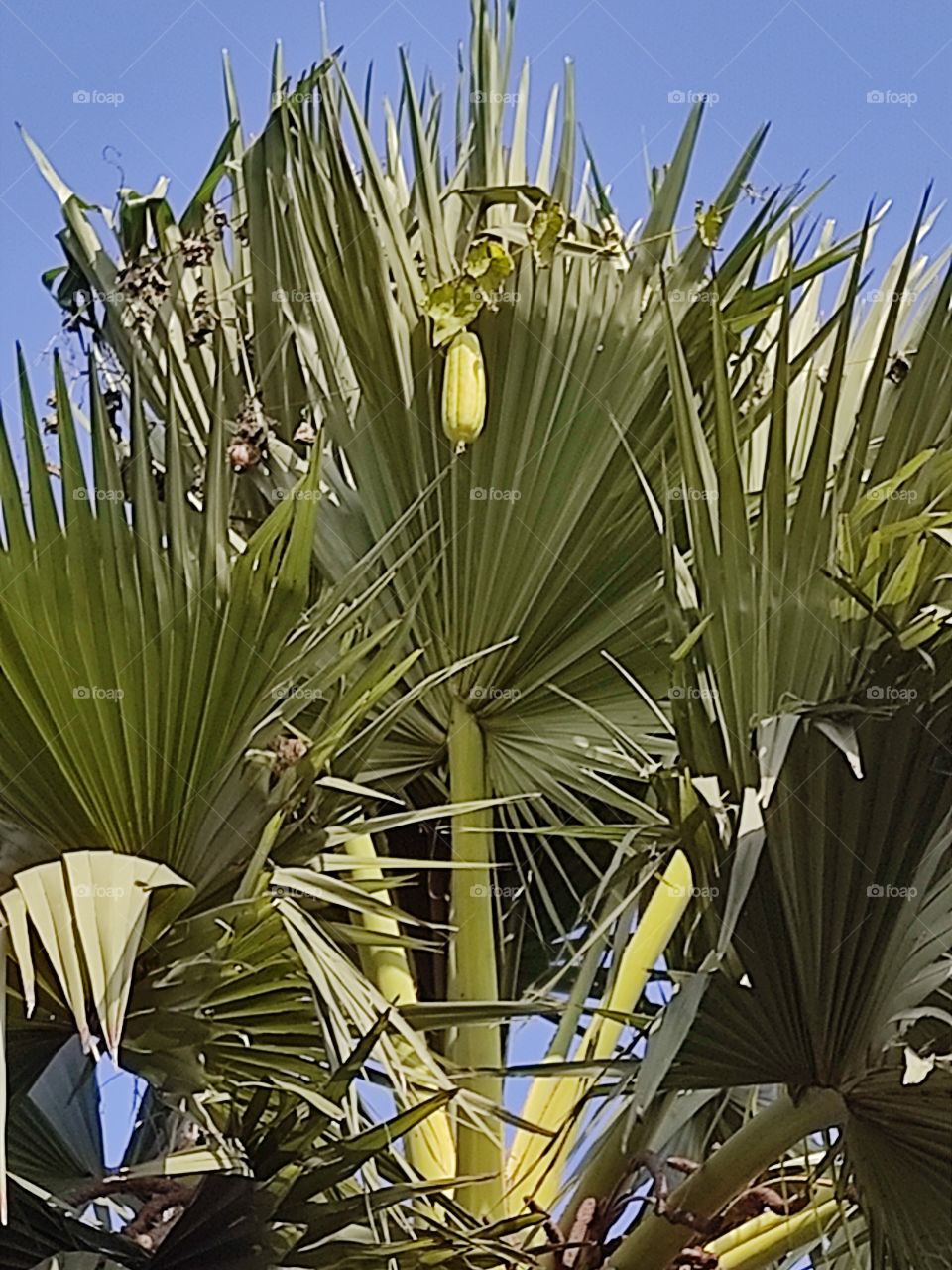 beautiful😍photo📸