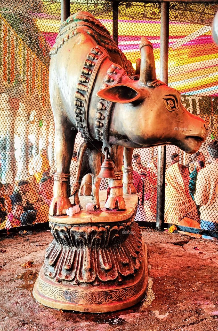 Cow Temple