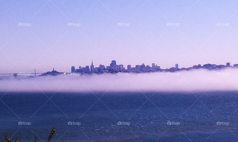 San Francisco, city, skyline, fog, bay area, water, ocean, beautiful,