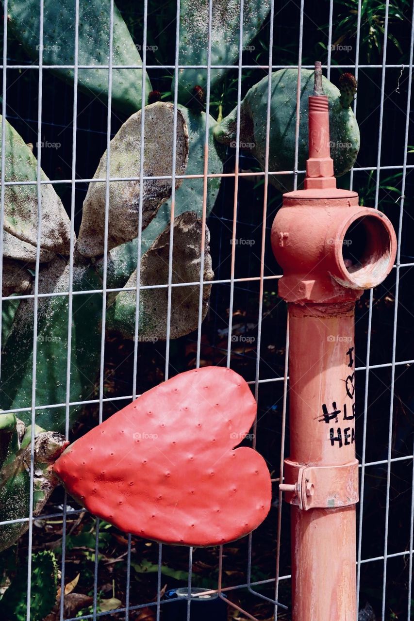 Heart shape cactus painted red and a hydrant