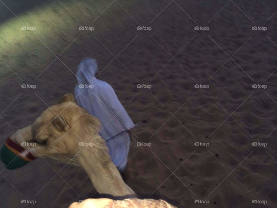 Riding a camel