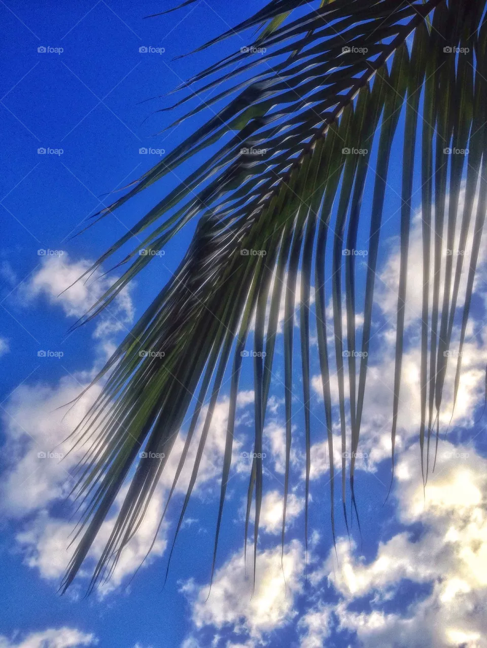 clouds