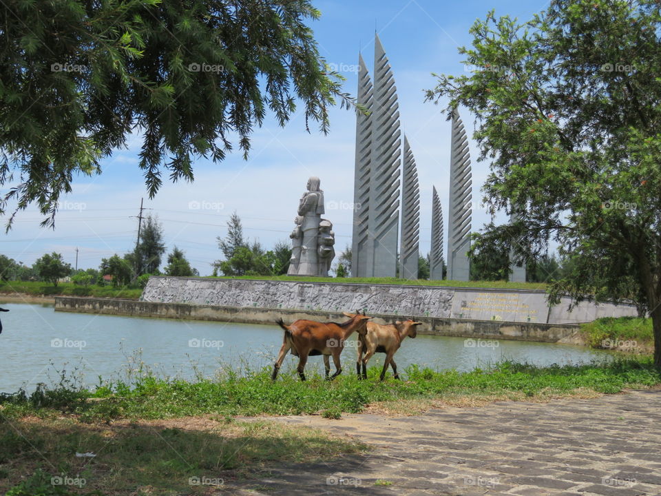 Wild goats in front of a monument 
The monument is dedicated to the women that lost their husbands and sons when Vietnam was divided, it is on the South side.  