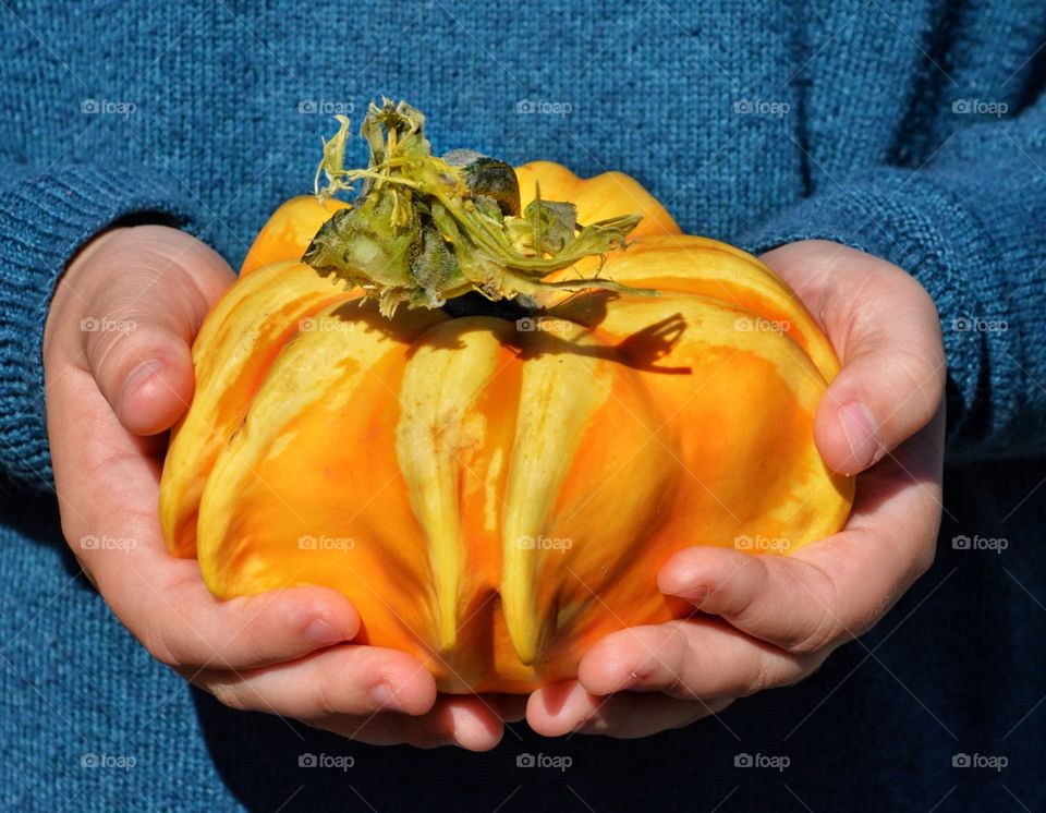 Hands holding a squash