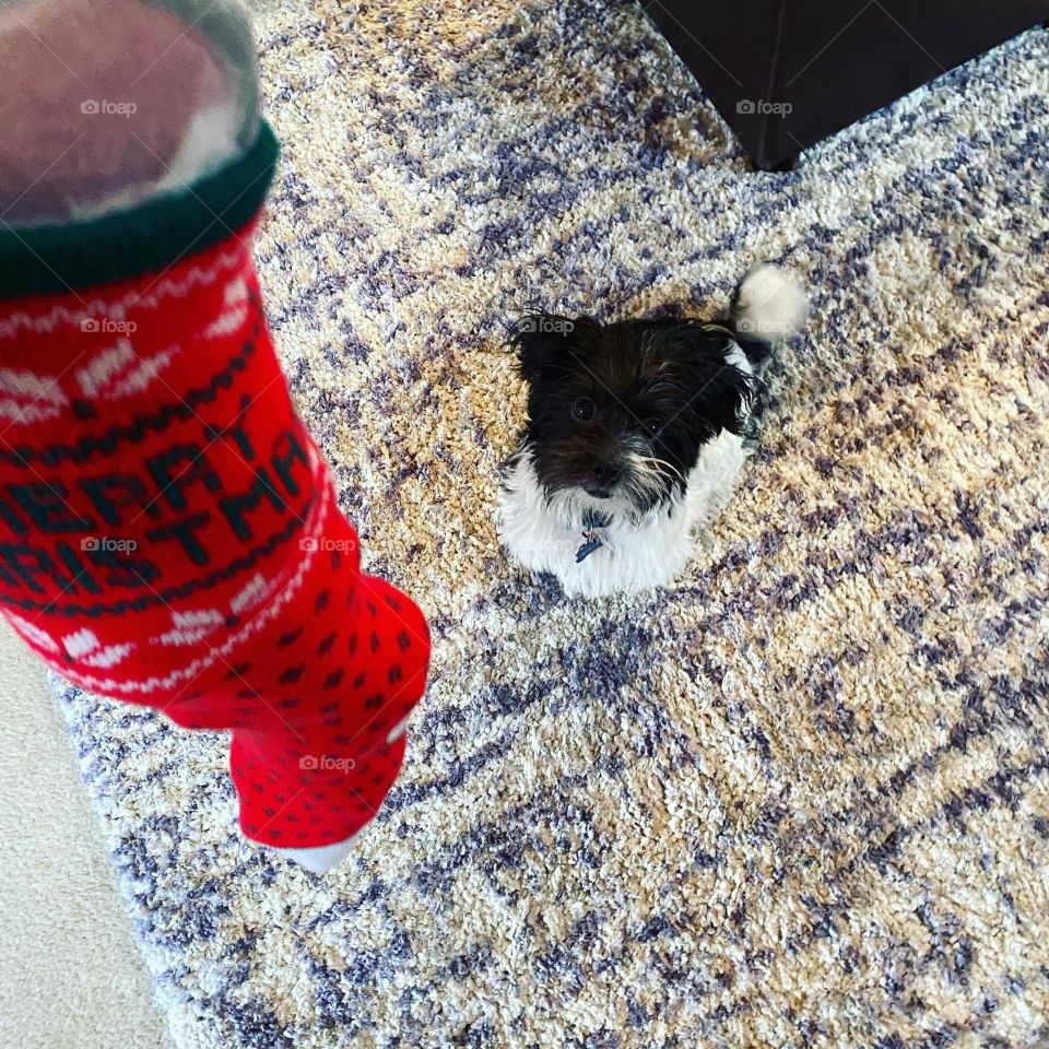 Christmas Excitement