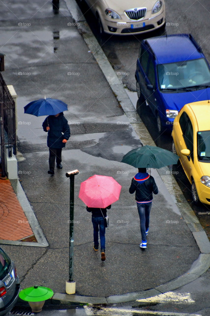 umbrellas, colorful, rain, winter, outdoor, people, walking,