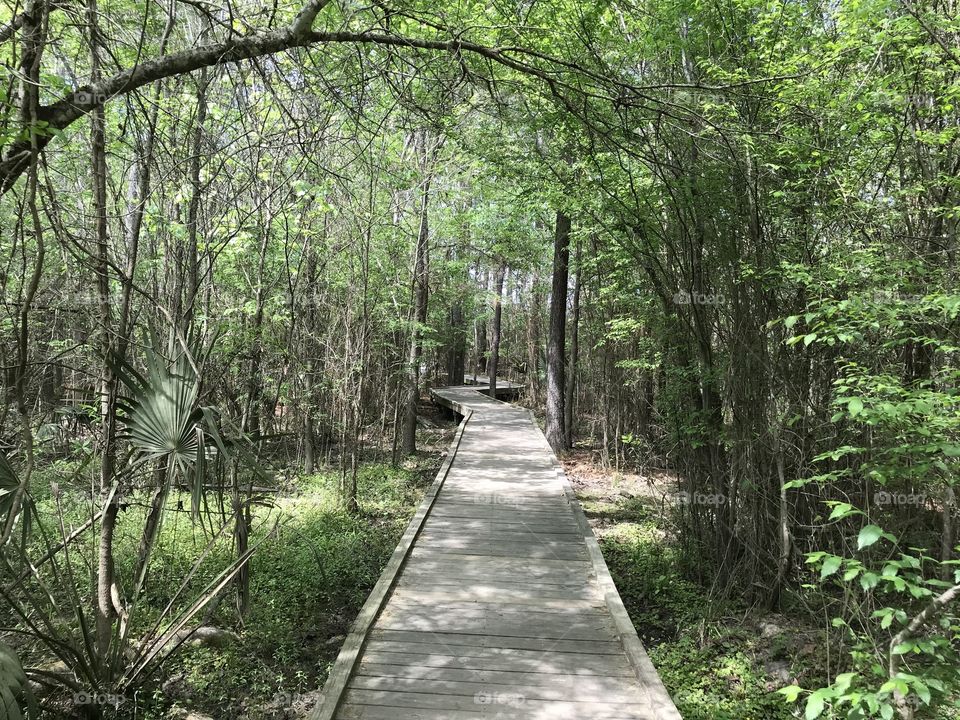 East End Park Houston Texas