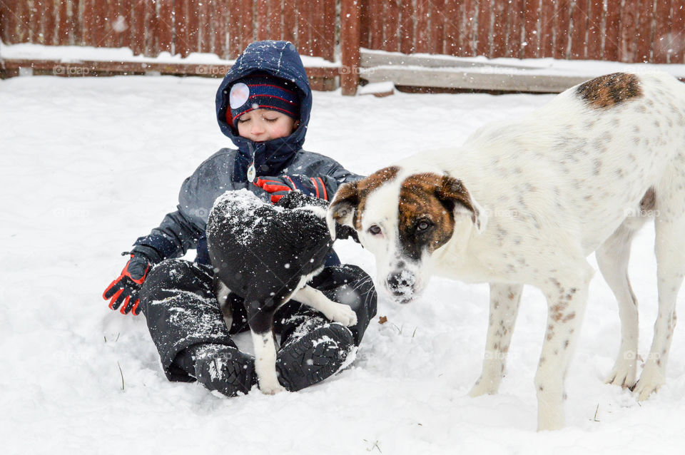 Young boy playing outdoors in the snow with two dogs