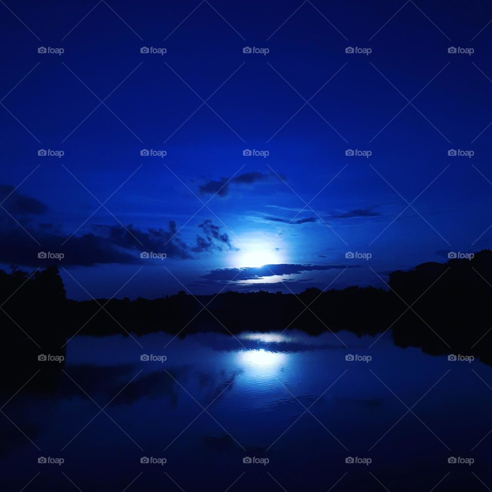 A beautiful blue lakescape across the lake at Cranes Roost Park in Altamonte Springs, Florida.