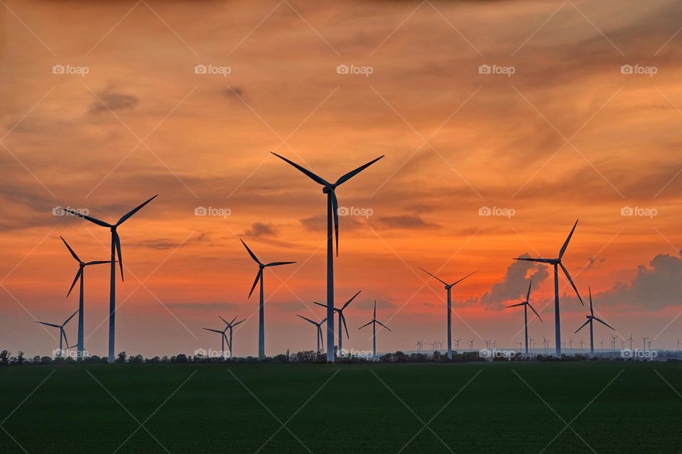 Electric windmills at sunset