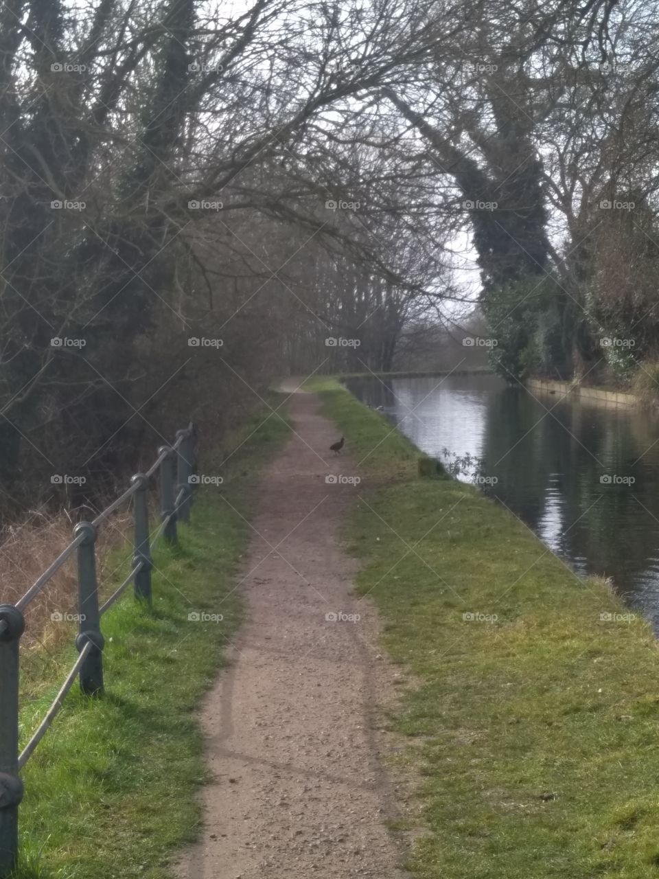 The New River Hertfordshire Path